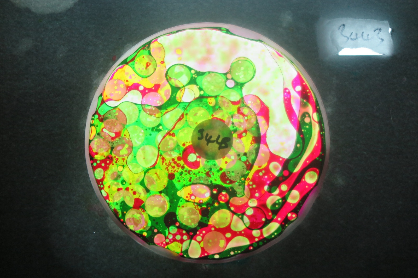 BV3443 bubble vision oil wheel